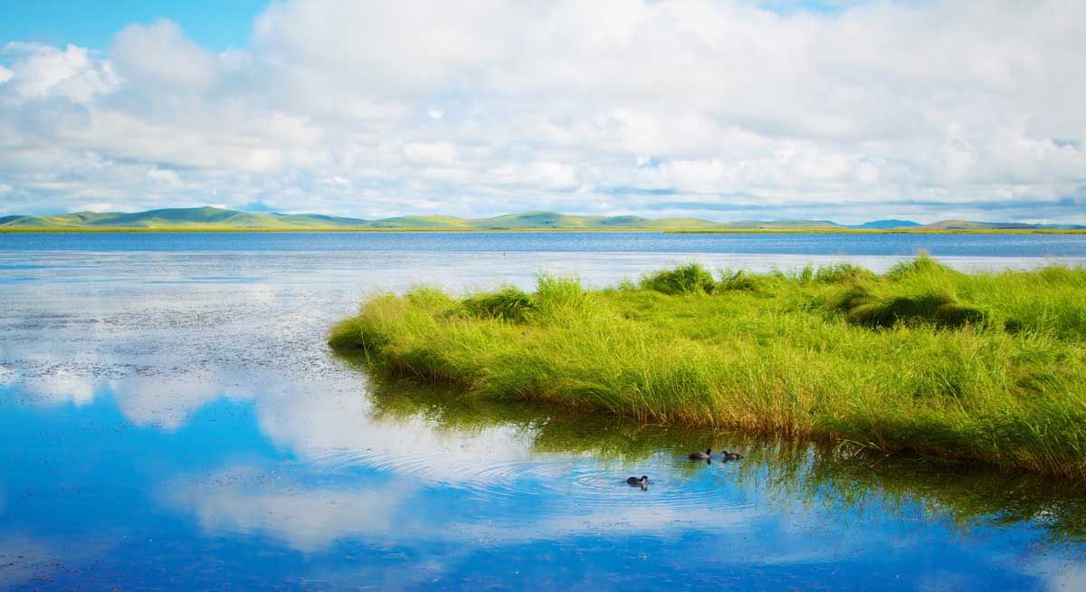 An Afternoon tour in grass land beside river